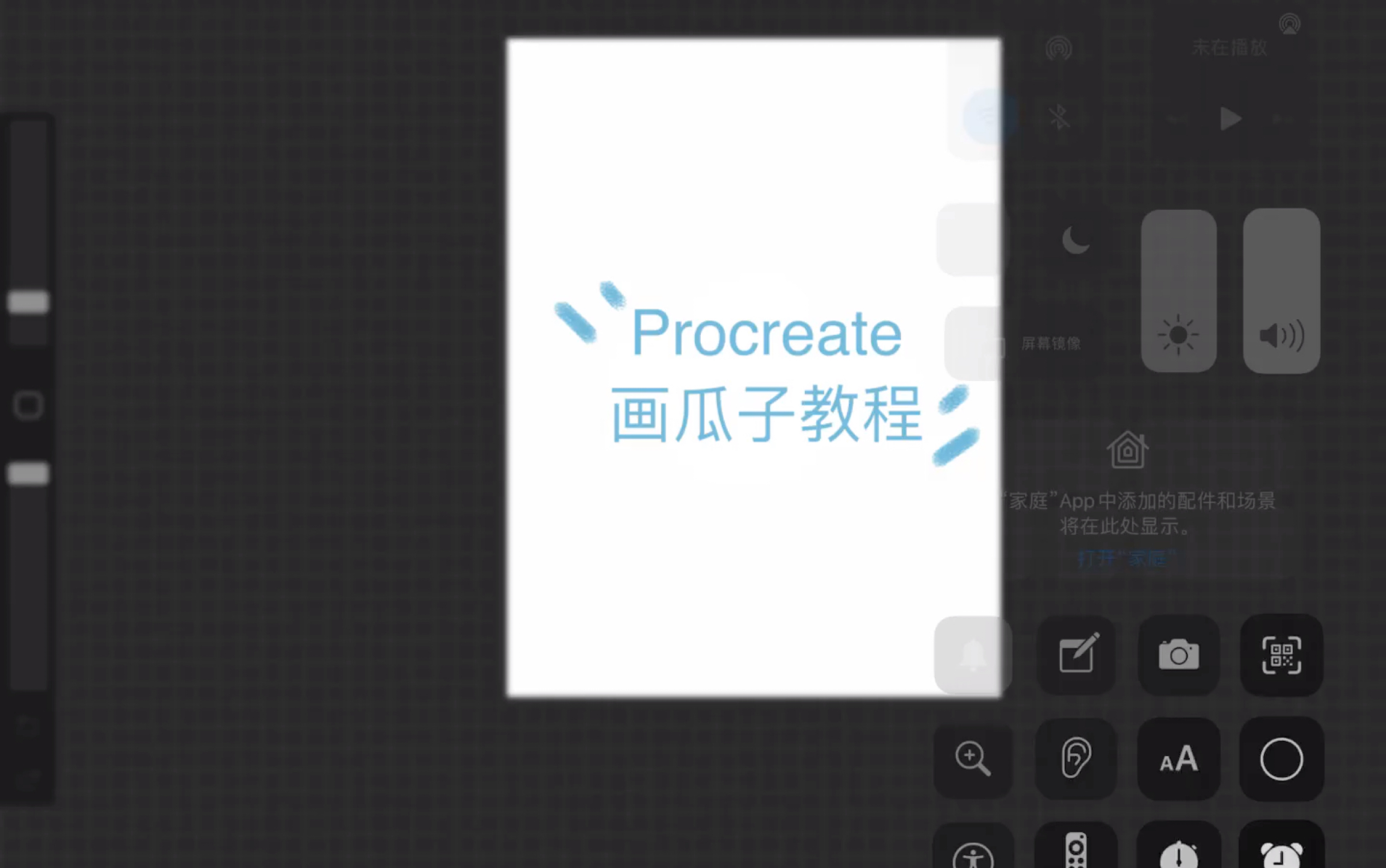 Procreate 画瓜子教程哔哩哔哩bilibili