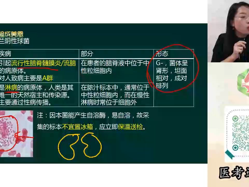 [图]19，精讲-临床微生物学-第（3-4）章革兰阴性球菌检验、肠杆菌科检验