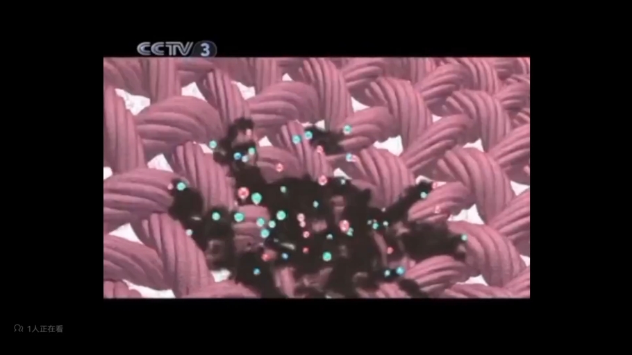 [内地广告](2010)鹏锦净白炫彩洗衣粉