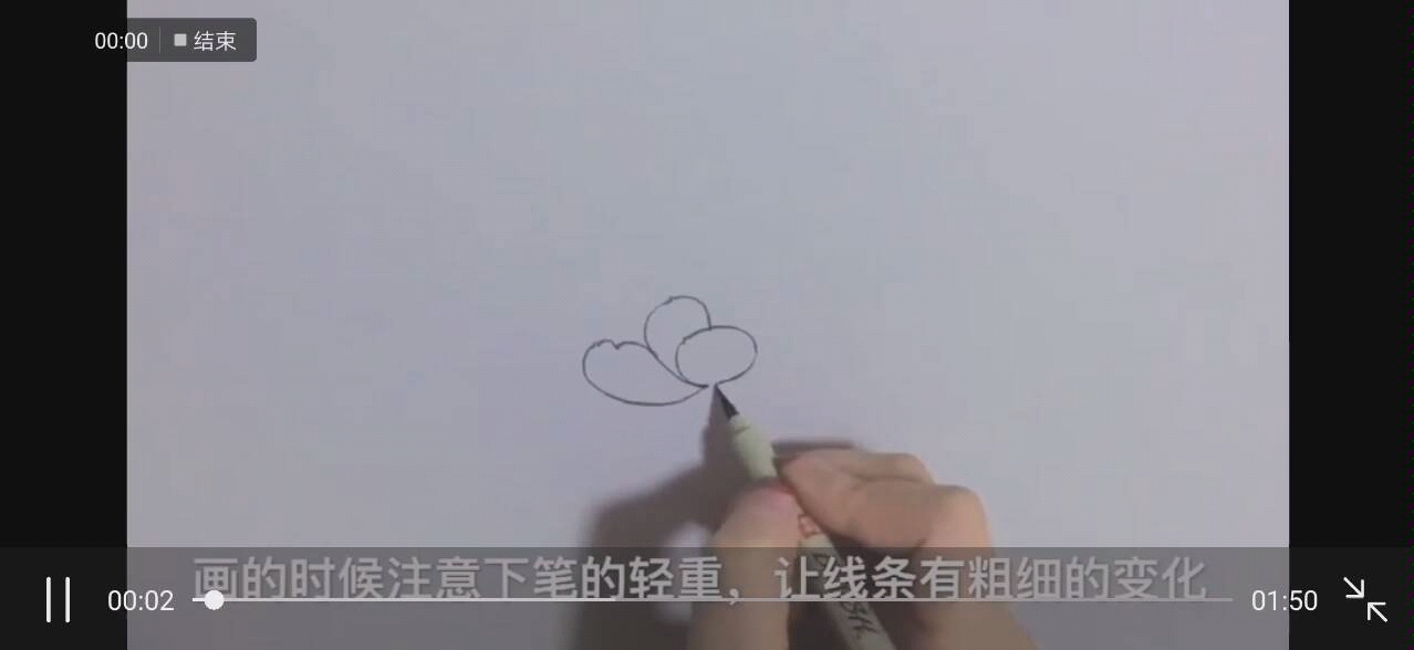 线描花卉哔哩哔哩bilibili