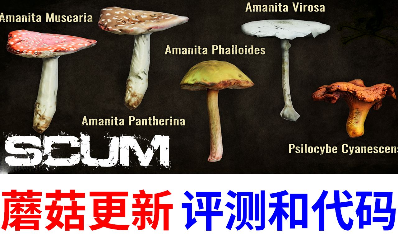 scum蘑菇更新0.7.150,新版蘑菇测评和代码,及其他.哔哩哔哩bilibili攻略