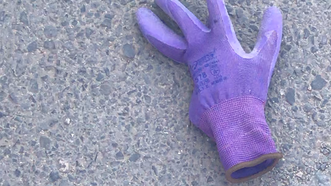 路边发现一只野生的潘多拉手套