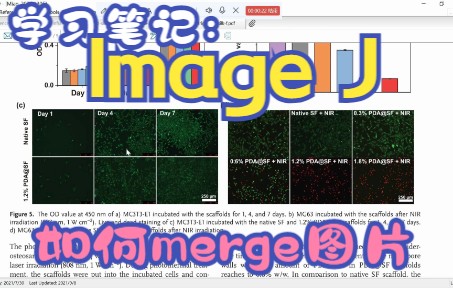 学习笔记:Image J merge 图片哔哩哔哩bilibili