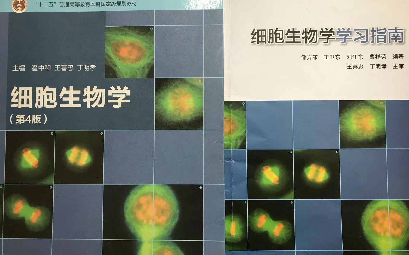 [图]852细胞生物学习题课-1