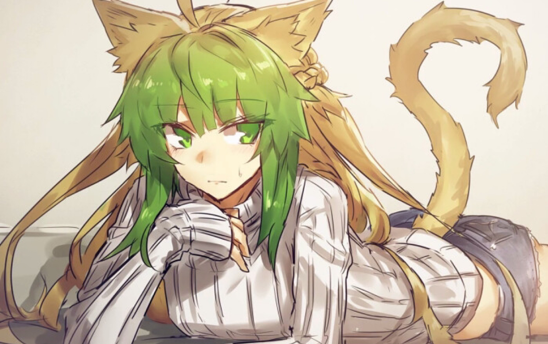 阿塔兰忒,大猫猫!射手与巴萨卡升阶cg_哔哩哔哩bilibili_fgo