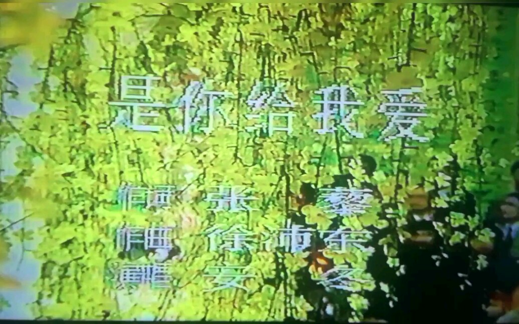 [图]是你给我爱 1989年直播版 安冬演唱