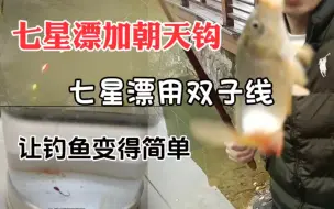 下载视频: 七星漂加朝天钩，七星漂用双子线，让钓鱼变得简单