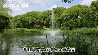 Download Video: 水库缺氧导致水体富营养化加剧