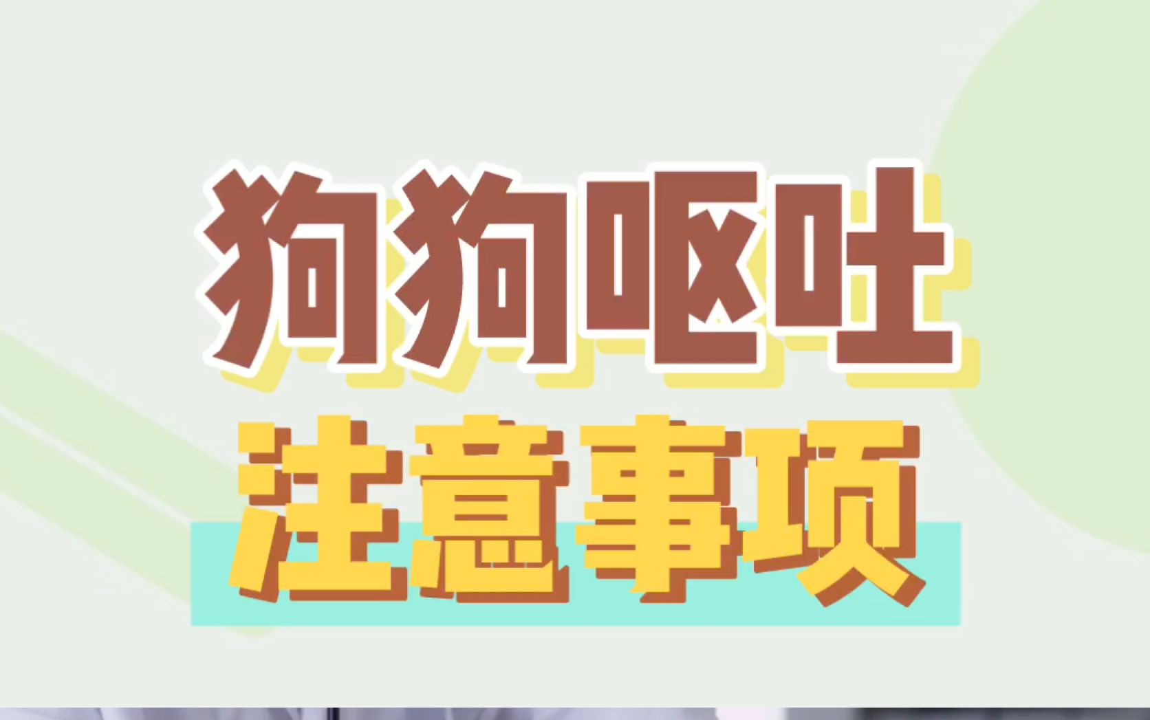 狗狗出现呕吐现象怎么办?这几点很重要!哔哩哔哩bilibili