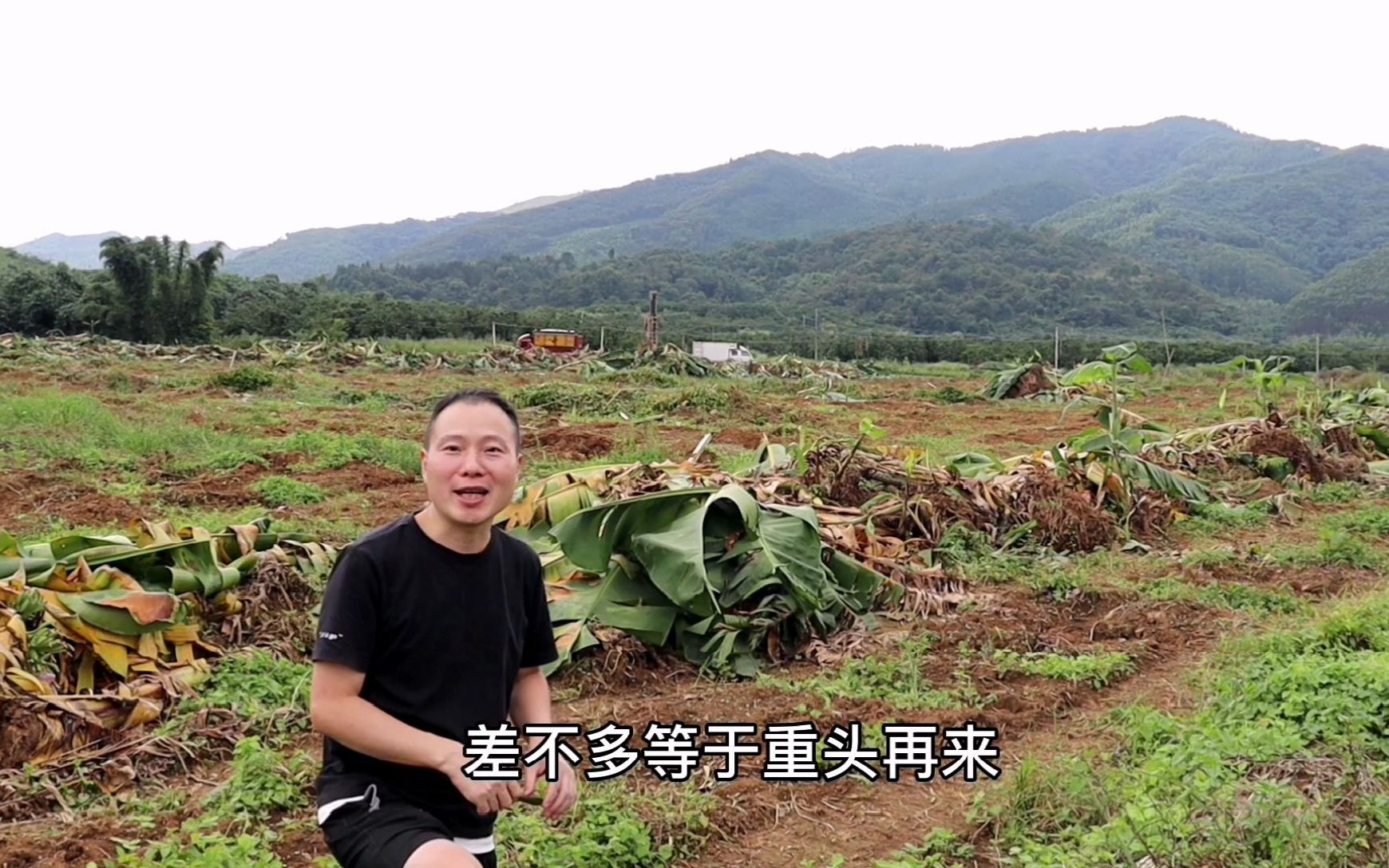 农牧集团高价快速拿地,70后土鸡叔山林不保,5年心血需重头再来哔哩哔哩bilibili