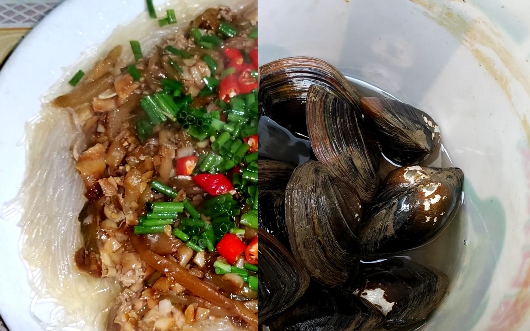 活动  清蒸粉丝河蚌:上回做了一份,感觉还不错,今天做了一份改良版的