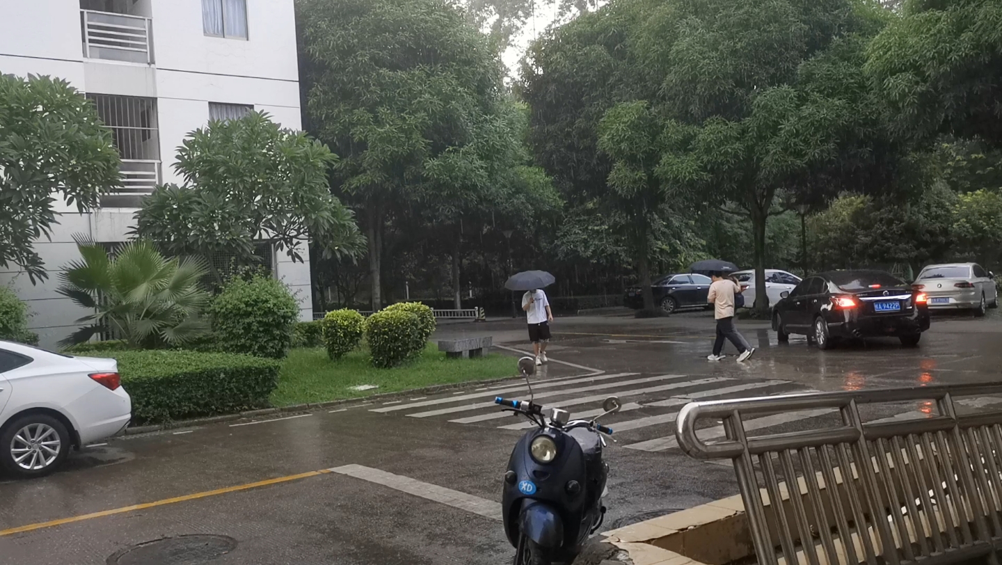 [图]【见我所见#7】学校的雨