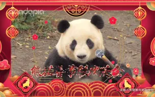 Download Video: 欢迎收看pandapia电视台《2021年熊猫春节联欢晚会》！