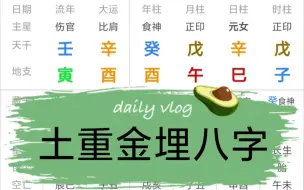 Download Video: 土重金埋八字欣赏