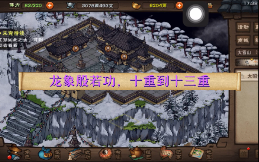 活动作品烟雨江湖龙象般若功十重到十三重