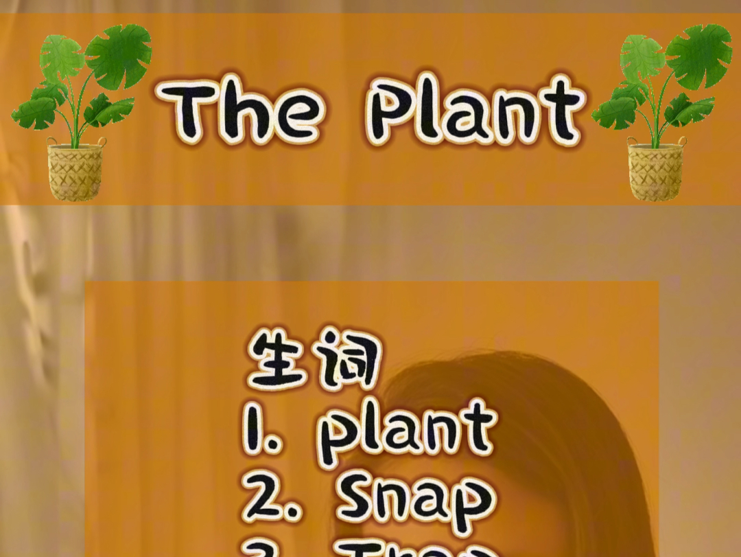 读故事学单词The Plant哔哩哔哩bilibili