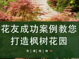 Download Video: 走进花友竹海风的秘密花园