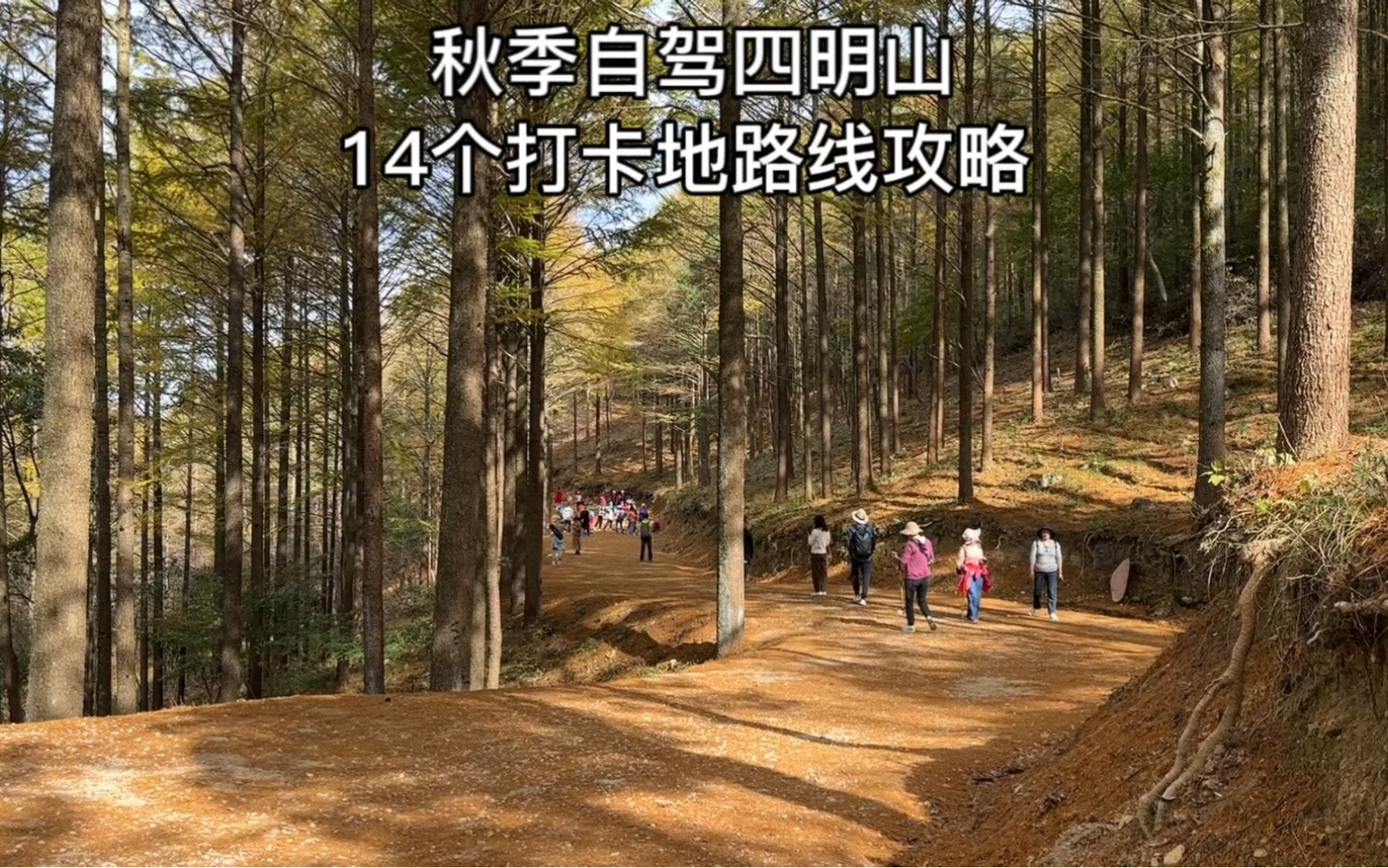 这个秋天如果你要去四明山自驾游,一定要收藏这个四明山自驾游路线攻略,路线从余姚到溪口,沿途分享了14个宝藏打卡地的路线攻略哔哩哔哩bilibili