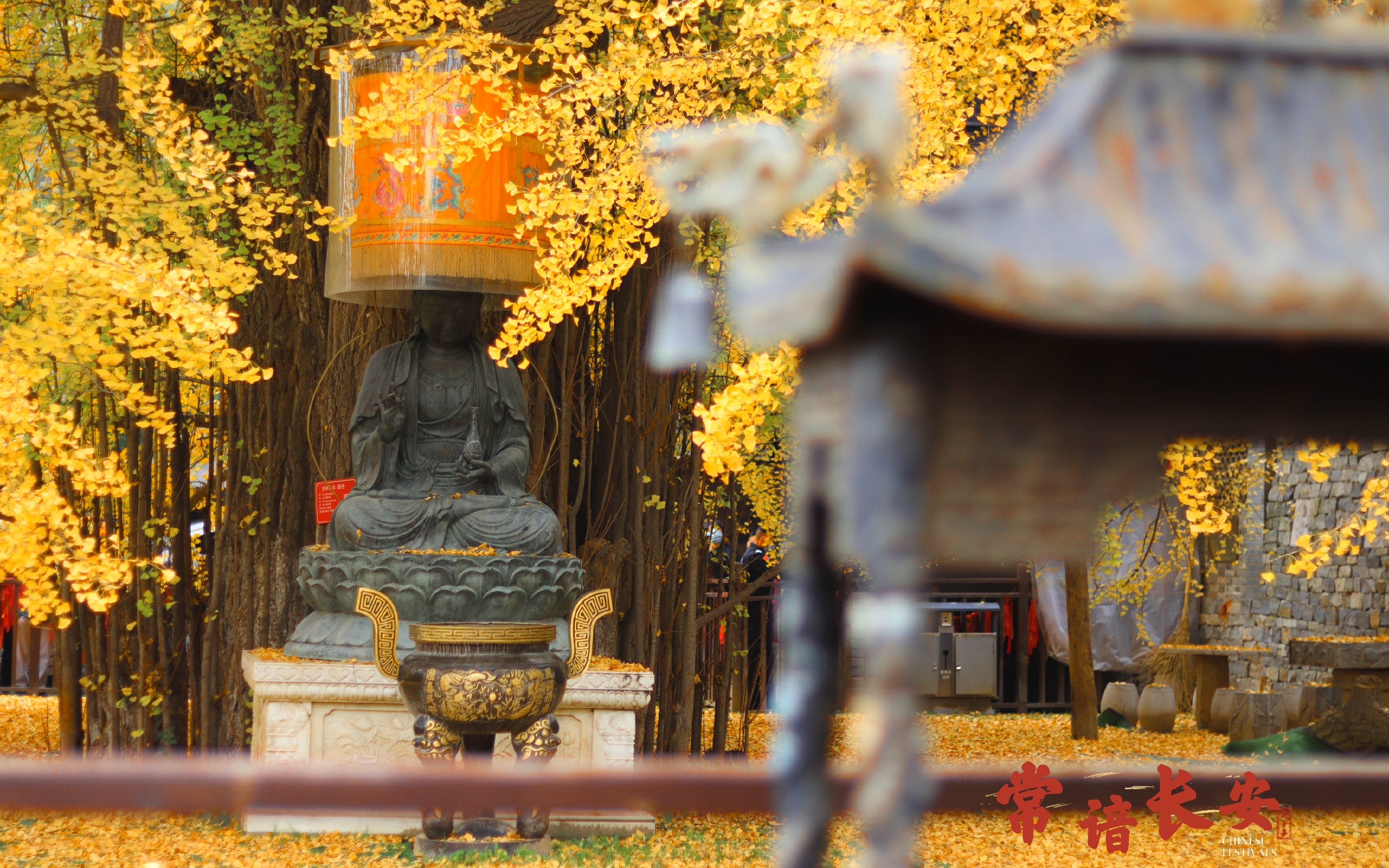 唐太宗手植银杏树所在地——古观音禅寺
