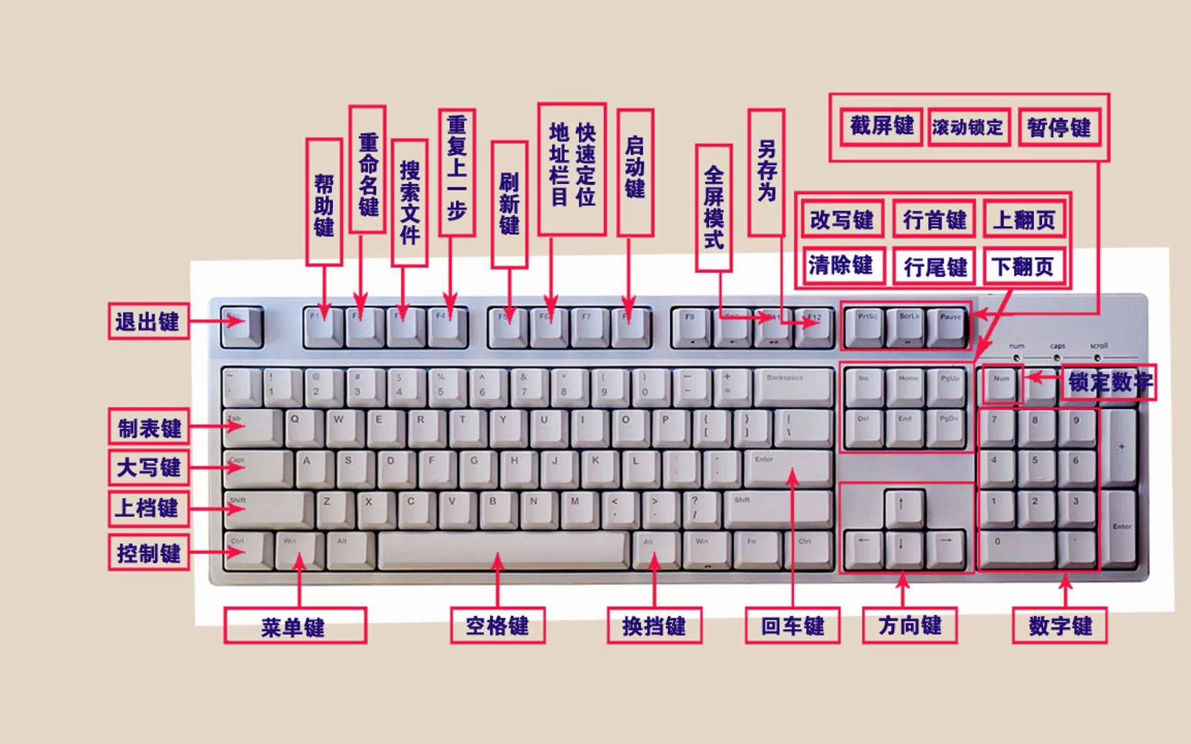 计算机电脑基础入门教程