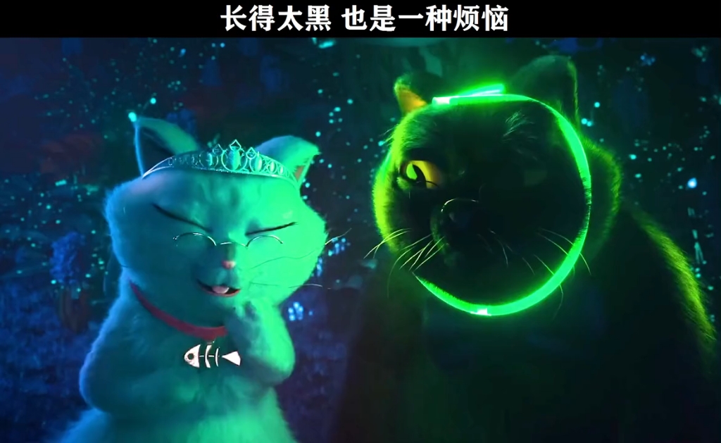 黑猫与白猫的爱情哔哩哔哩bilibili