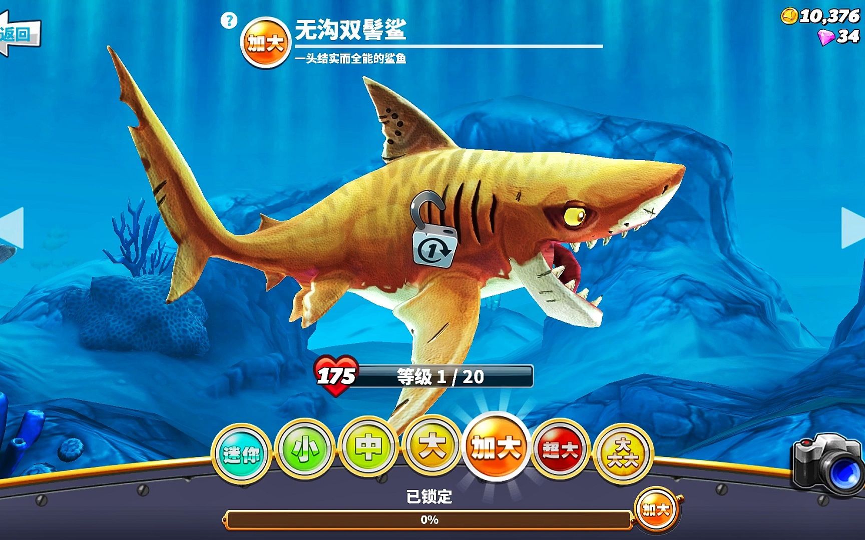 饥饿鲨世界最大图片