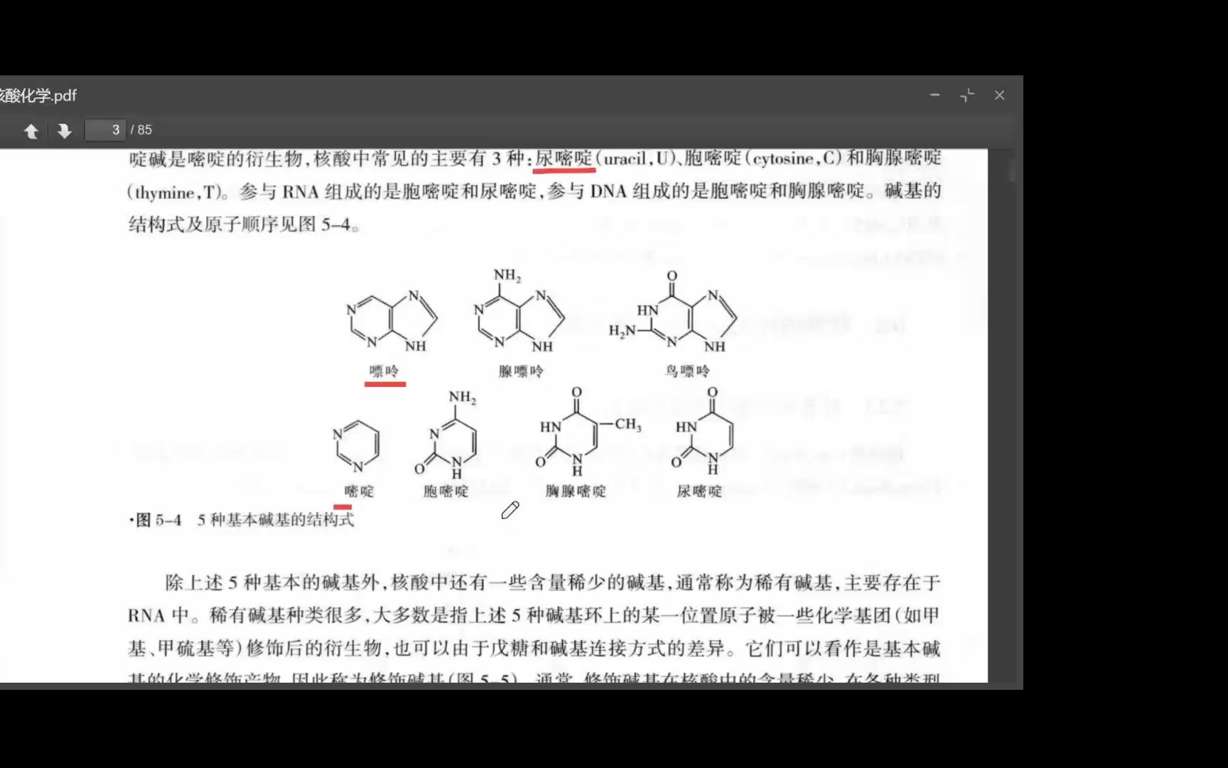 南农 801生物化学 第五章 核酸化学哔哩哔哩bilibili