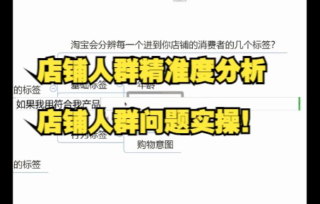 淘宝天猫运营干货店铺人群精准度分析教你学会透彻分析店铺人群问题实操!哔哩哔哩bilibili