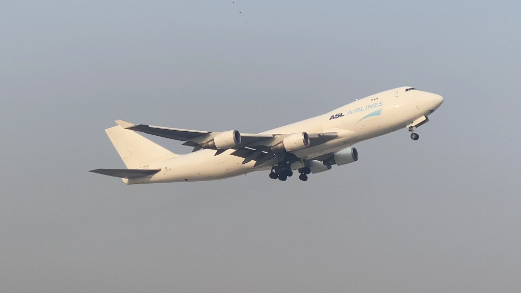 asl比利时大白鹅胶东国际机场起飞