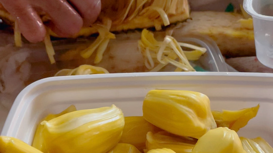 大树菠萝核有什么功效(大树菠萝核的功效:清热解毒,润肺止咳,降血压)