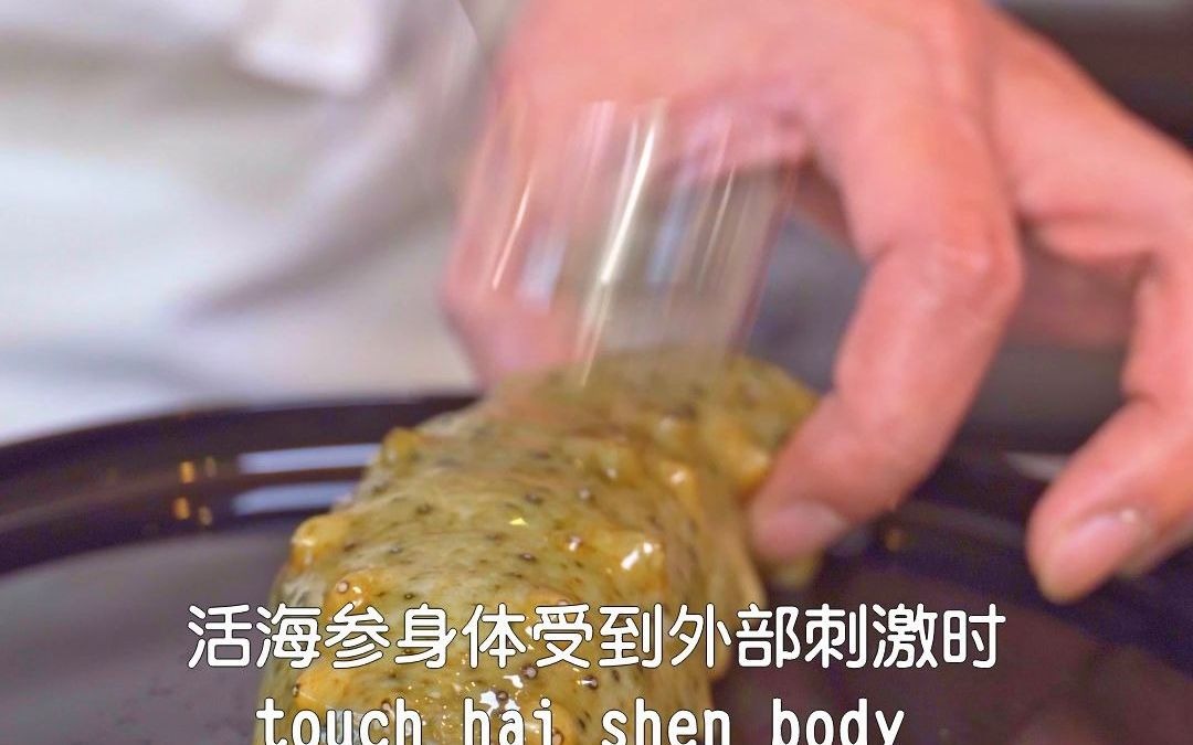 [图]【活海参】你们知道海参是一个多么贴心的食材吗？？