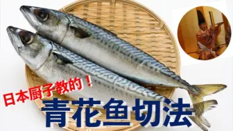 日本美食 职人师傅教你解剖青花鱼 哔哩哔哩 Bilibili