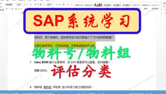 SAP软件 物料号、物料组、评估分类