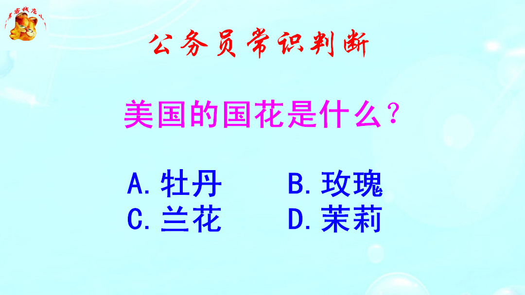 公务员常识判断,美国的国花是什么?难倒了学霸哔哩哔哩bilibili