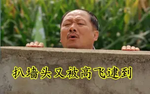 Télécharger la video: 乡村爱情：广坤扒墙头又被高飞逮到，这下有把柄在人家手里了