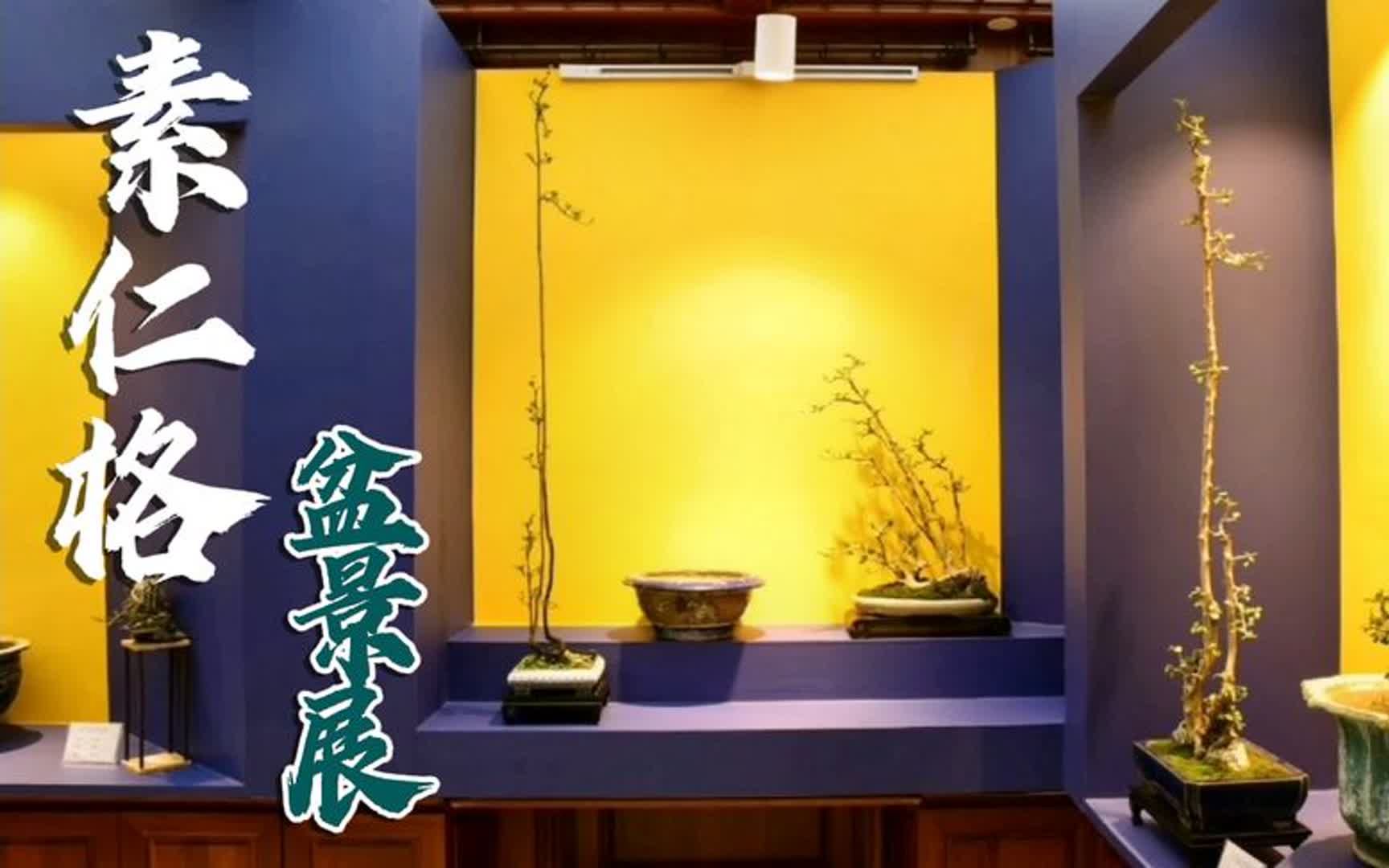 海幢寺素仁盆景展,在千年古刹的宁静与古韵中,走入盆景禅意世界哔哩哔哩bilibili