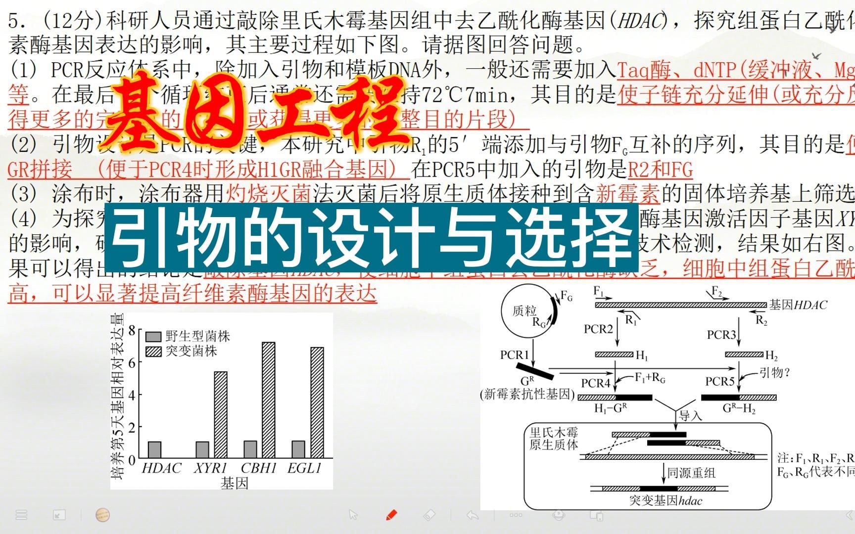 基因工程引物的选择哔哩哔哩bilibili