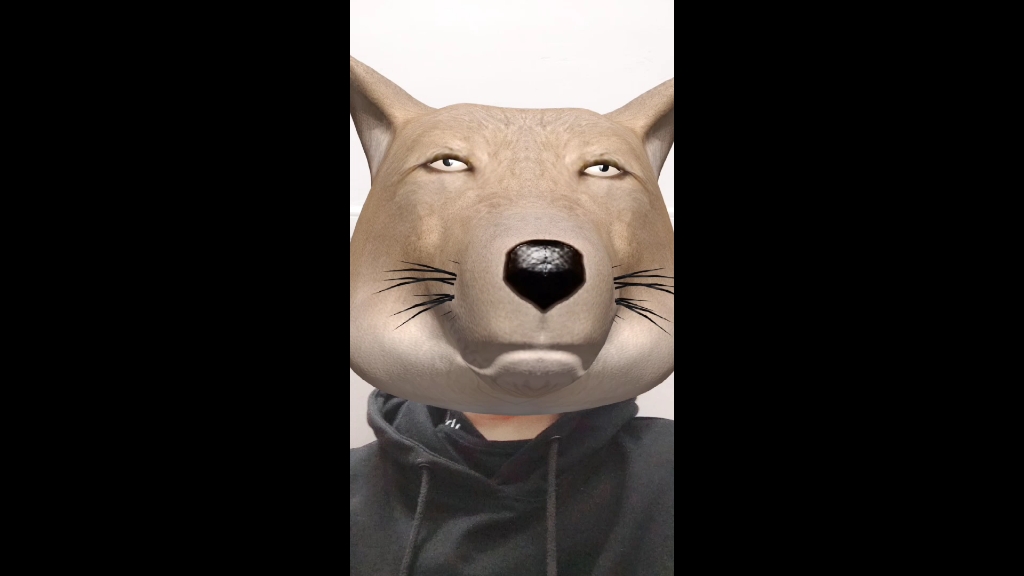 我的心愿狗头军师