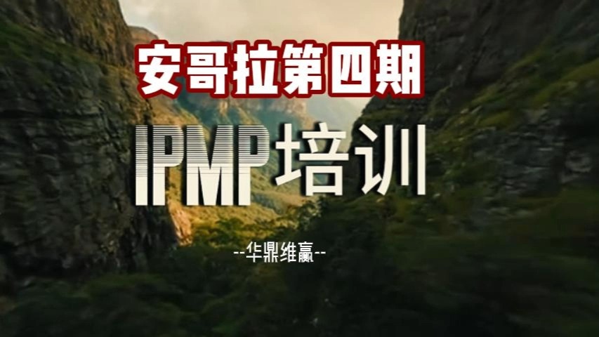 安哥拉IPMP国际项目经理认证资质认证培训班开课啦!!哔哩哔哩bilibili