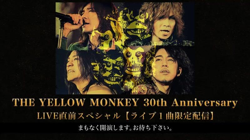 THE YELLOW MONKEY 30th Anniversary LIVE直前スペシャル【ライブ1曲