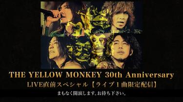 THE YELLOW MONKEY/30th Anniversary LIVE… THE YELLOW MONKEY 30th Anniversary LIVE -DOME SPECIAL