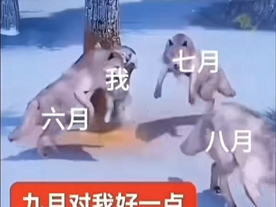 九月对我好一点