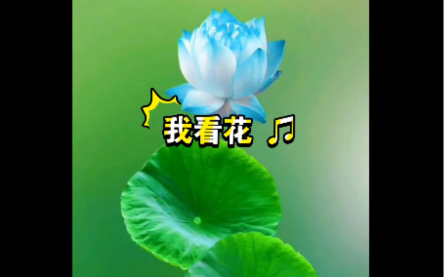 中文歌曲~我看花