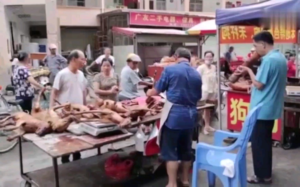 玉林狗肉一条街,几百人露天吃脆皮狗肉,最高峰一天卖2万斤哔哩哔哩bilibili