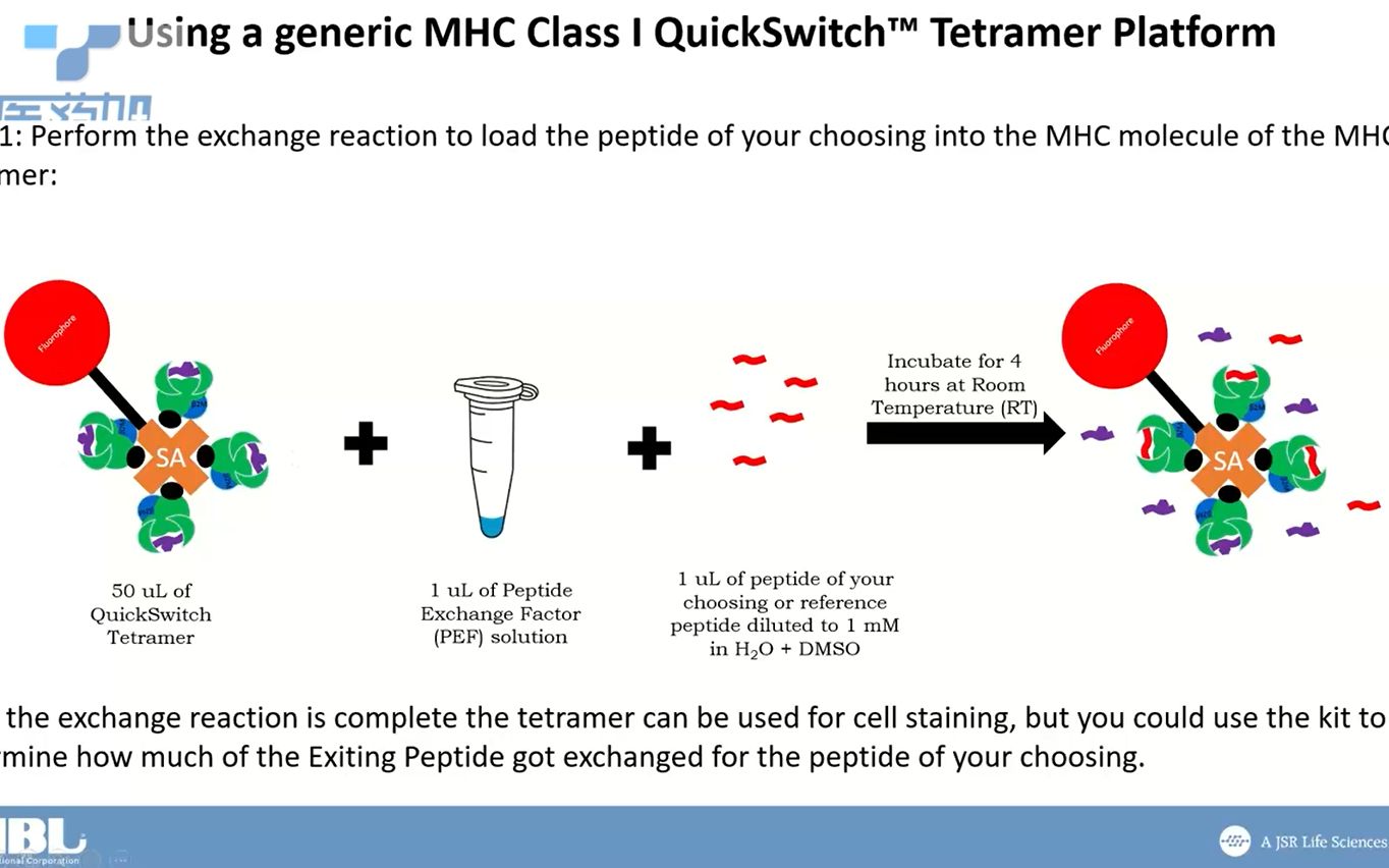 QuickSwitch MHC多肽置换平台在抗原肽筛选及新冠研究中的应用哔哩哔哩bilibili