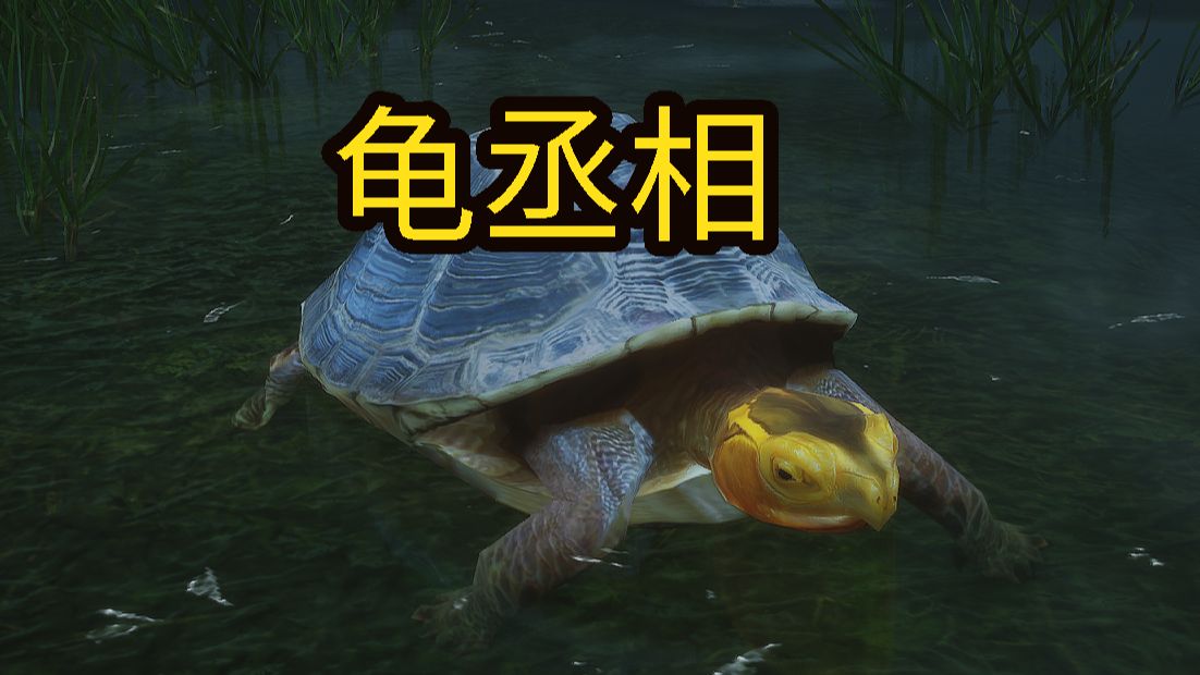 关于东海龙宫的事我问过龟丞相了,黑神话悟空