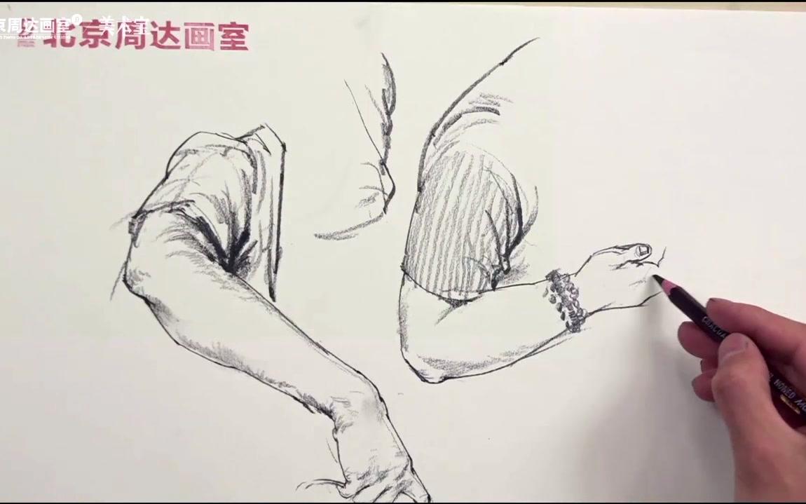 艺伴干货北京周达画室速写难点教程手臂精讲