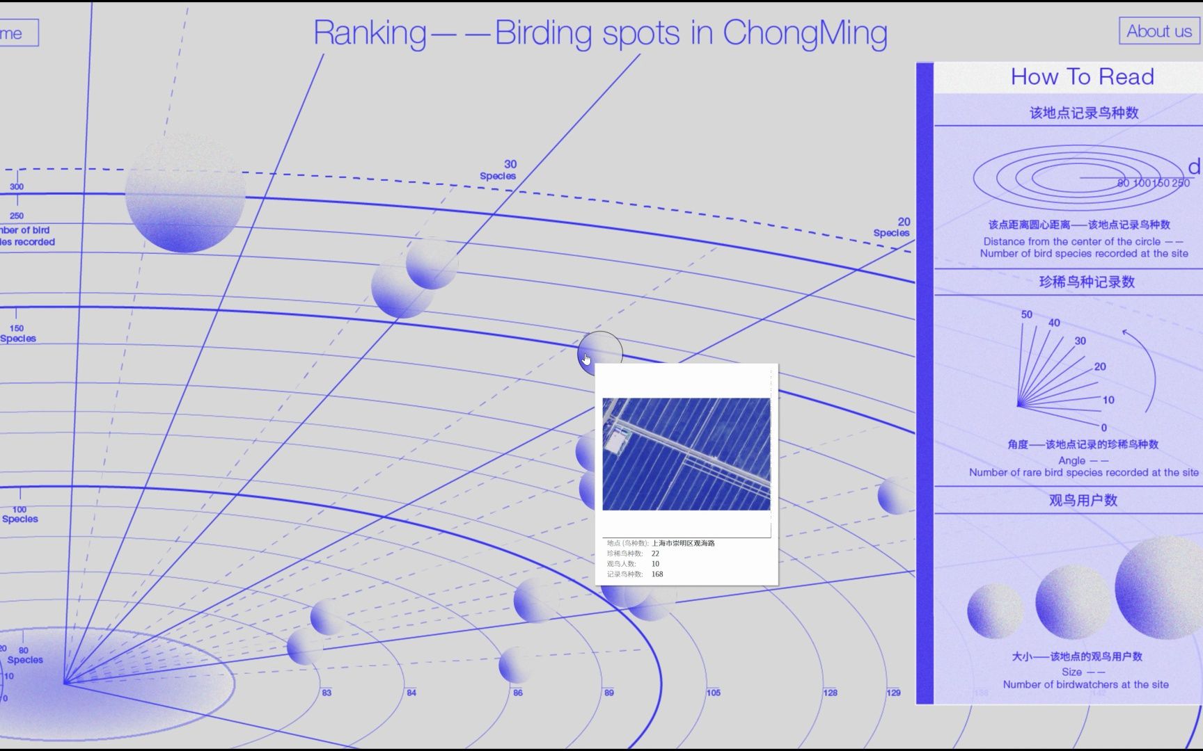 你好观鸟人——崇明观鸟报告数据可视化交互网页哔哩哔哩bilibili