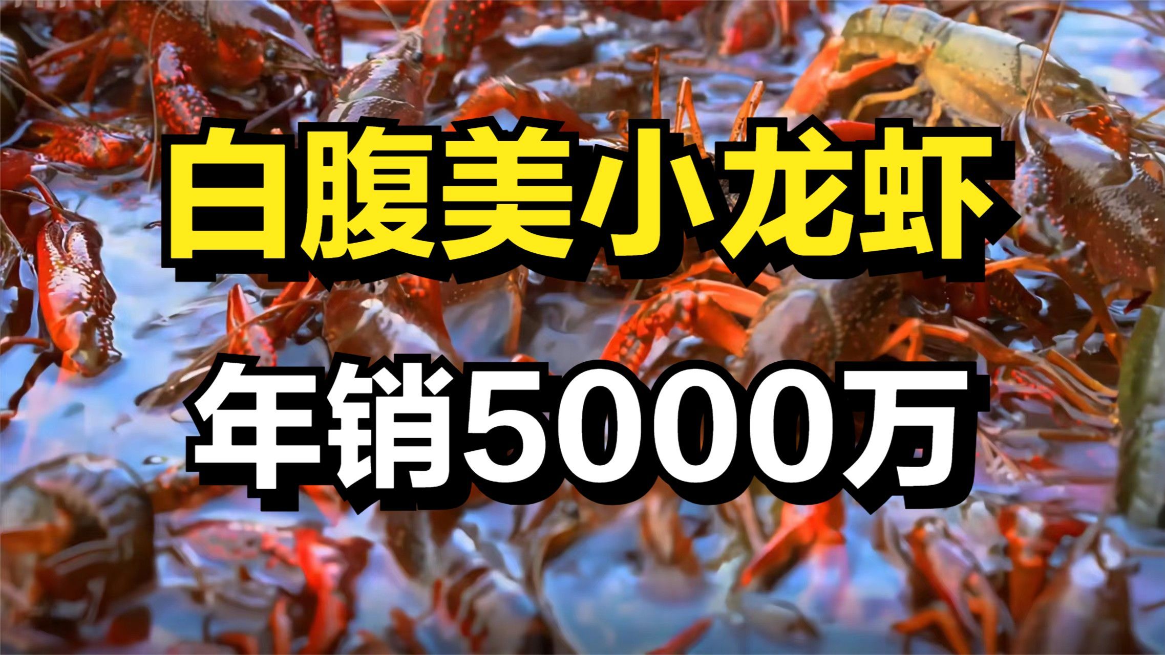 山东男子巧养小龙虾,一斤最贵能卖50元,年销售额高达5000多万元哔哩哔哩bilibili