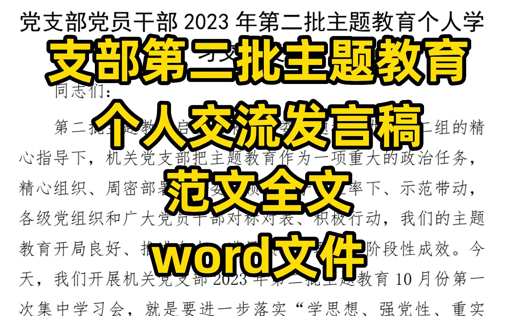 支部第二批主题教育个人交流发言稿范文全文,word文件哔哩哔哩bilibili